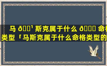 马 🌹 斯克属于什么 🕊 命格类型「马斯克属于什么命格类型的人」